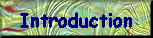 Introduction